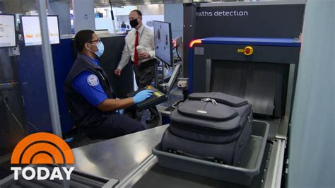 Exploring the Tsa Realm: An Otherworldly Journey of Discovery